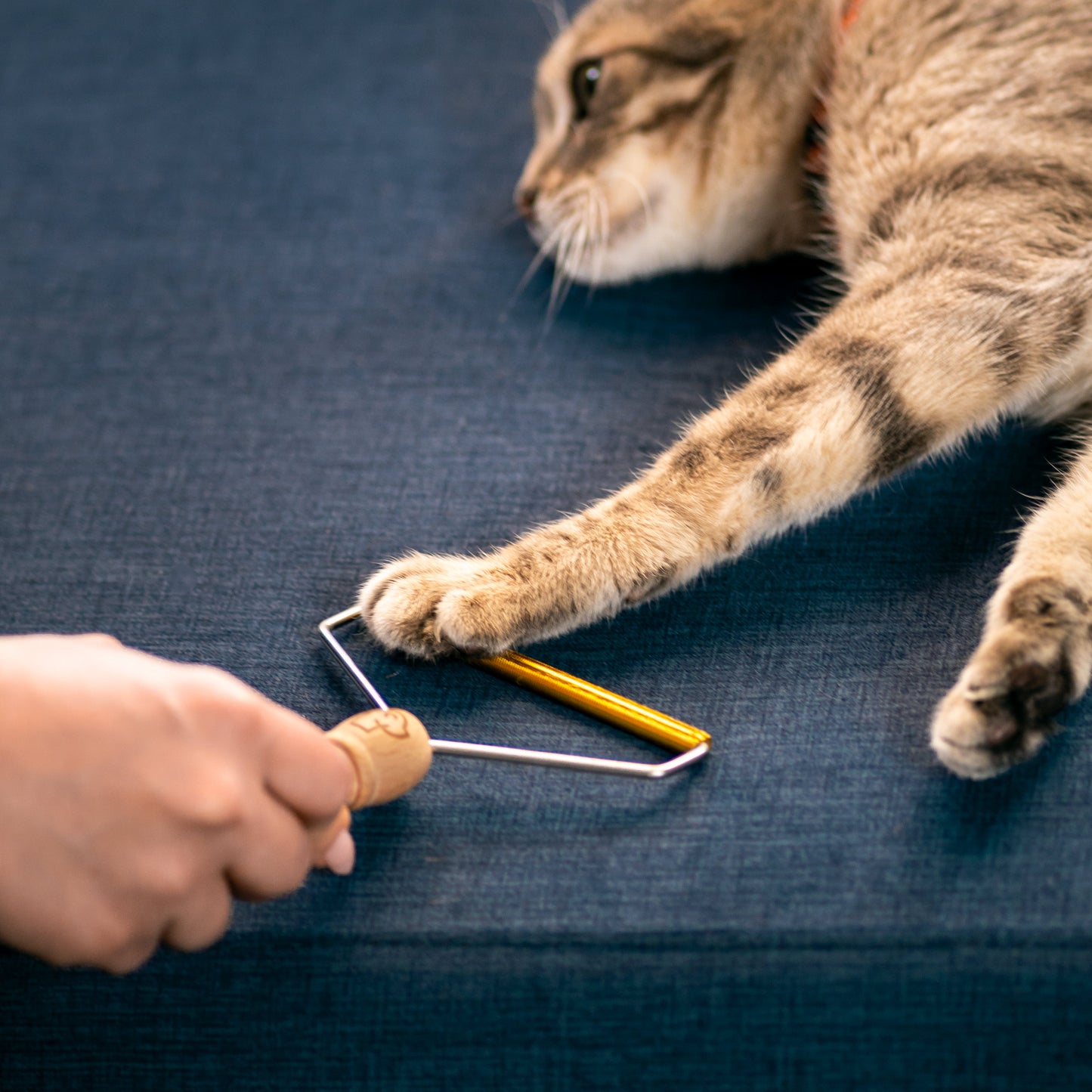 Αποχνουδωτής Ρούχων Eco Pets από Bamboo
