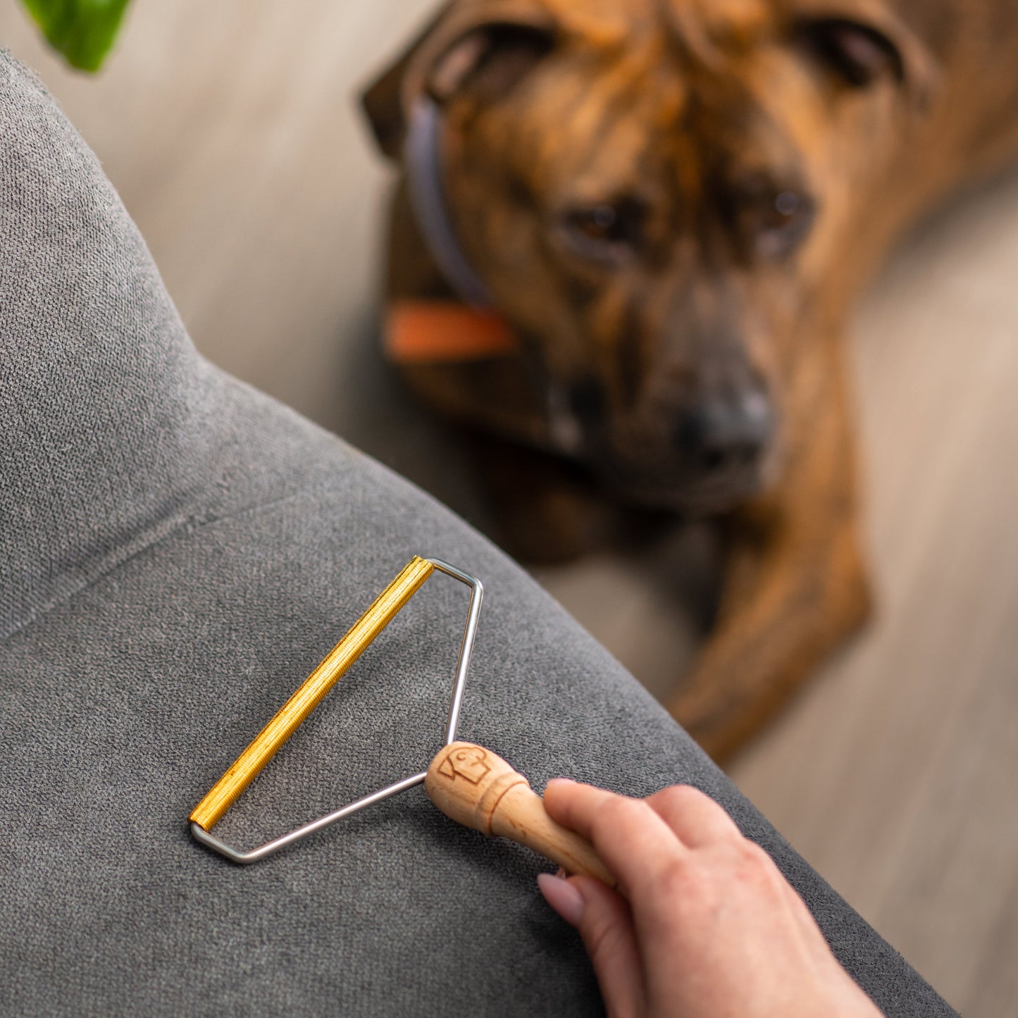 Αποχνουδωτής Ρούχων Eco Pets από Bamboo