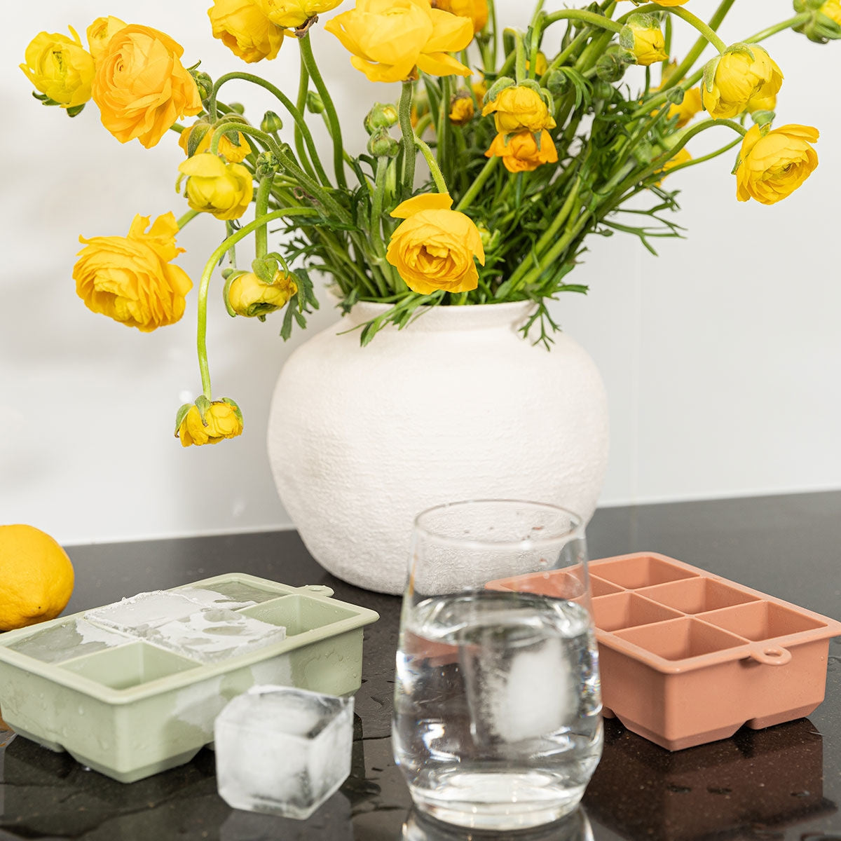 Estia Παγοθήκη Σιλικόνης 6 Θέσεων - Rotten Apple