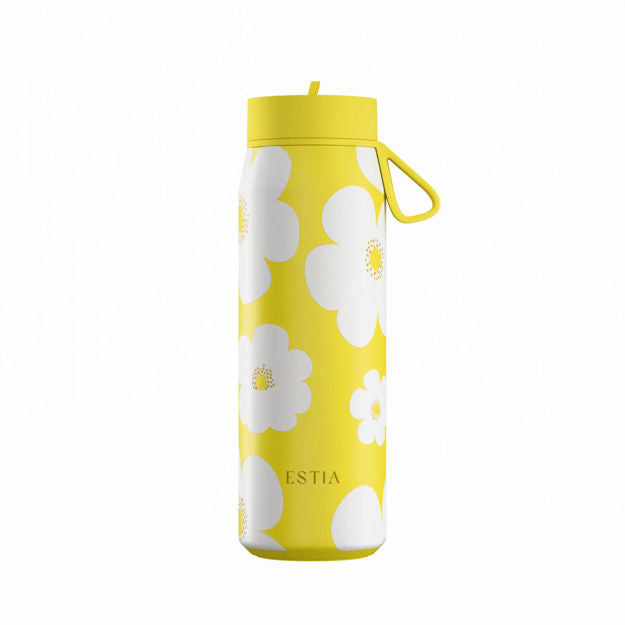 Yellow Daisy