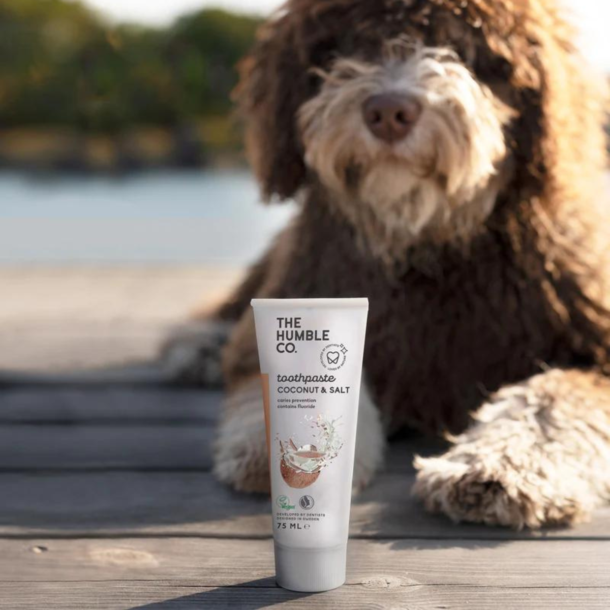 The Humble Co Φυσική Οδοντόκρεμα με Γεύση Καρύδα - 75ml