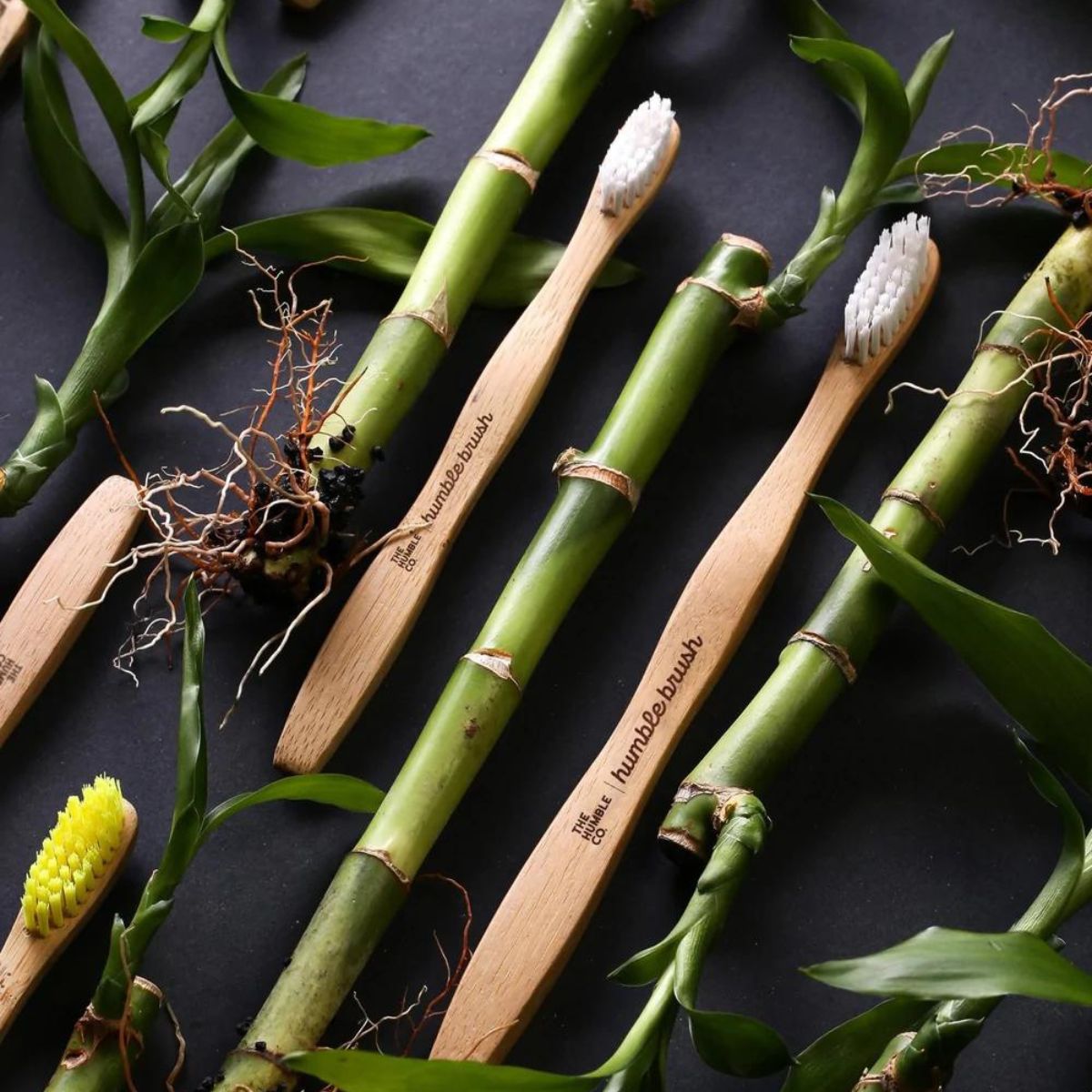 Οδοντόβουρτσα από Bamboo Μαλακή Λευκή