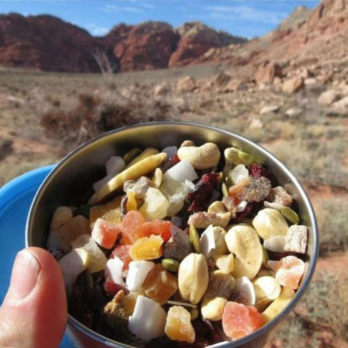 Ecolunchbox Seal Cup Medium Δοχείο Φαγητού Inox Μπλε - 350ml