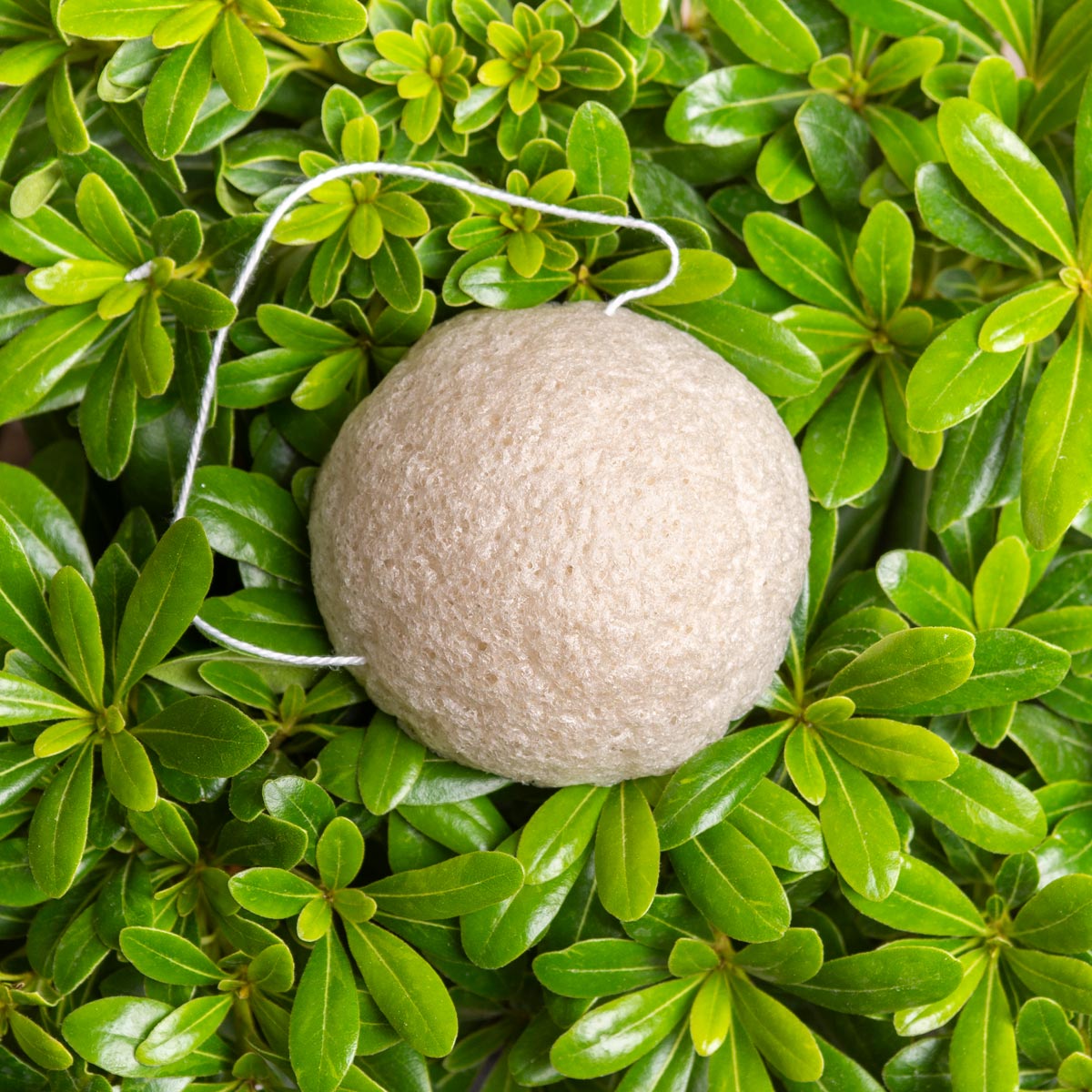 Minimal List Konjac Σφουγγαράκι Προσώπου Original