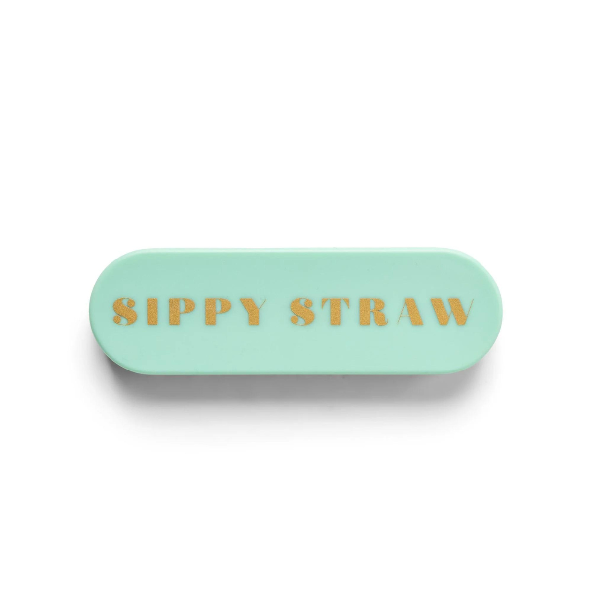 Designworks Φορητό Μεταλλικό Καλαμάκι με Θήκη Sippy Straw