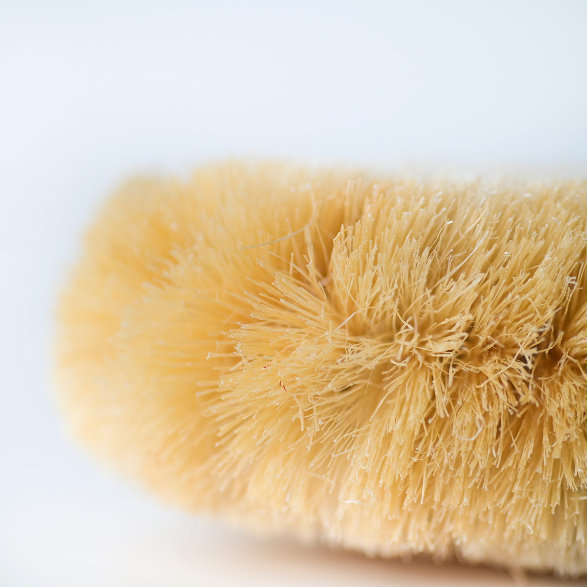 Minimal List Βούρτσα Dry Brush Σώματος από Ίνες Σιζαλ
